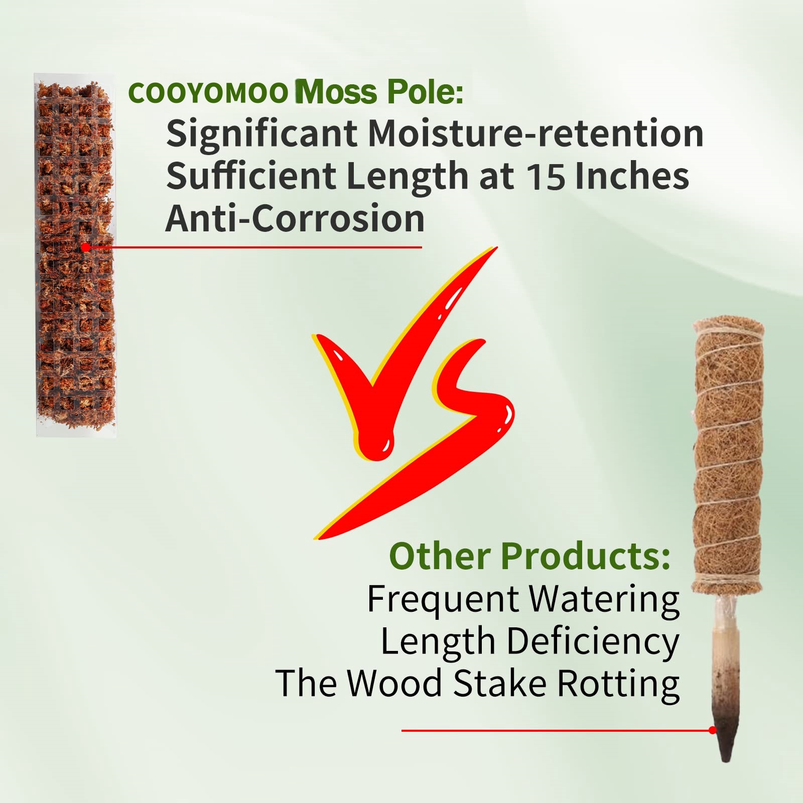 Moss Poles Plants Plant Suppor - Sphagnum Moss Dry 评论和价格