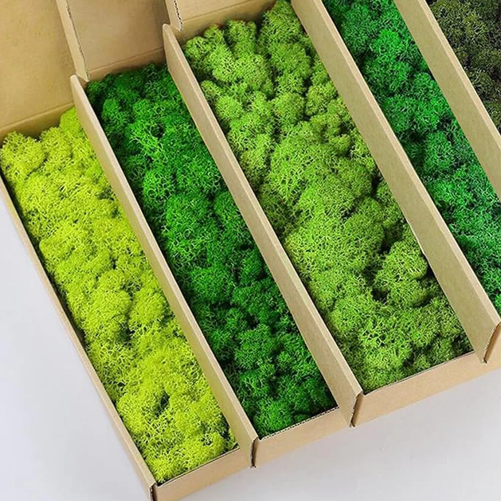 20-200g Artificial Green Plant - Sphagnum Moss Dry 评论和价格