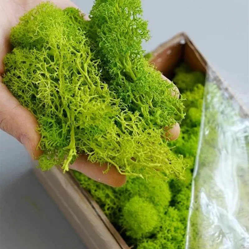 20-200g Artificial Green Plant - Sphagnum Moss Dry 评论和价格