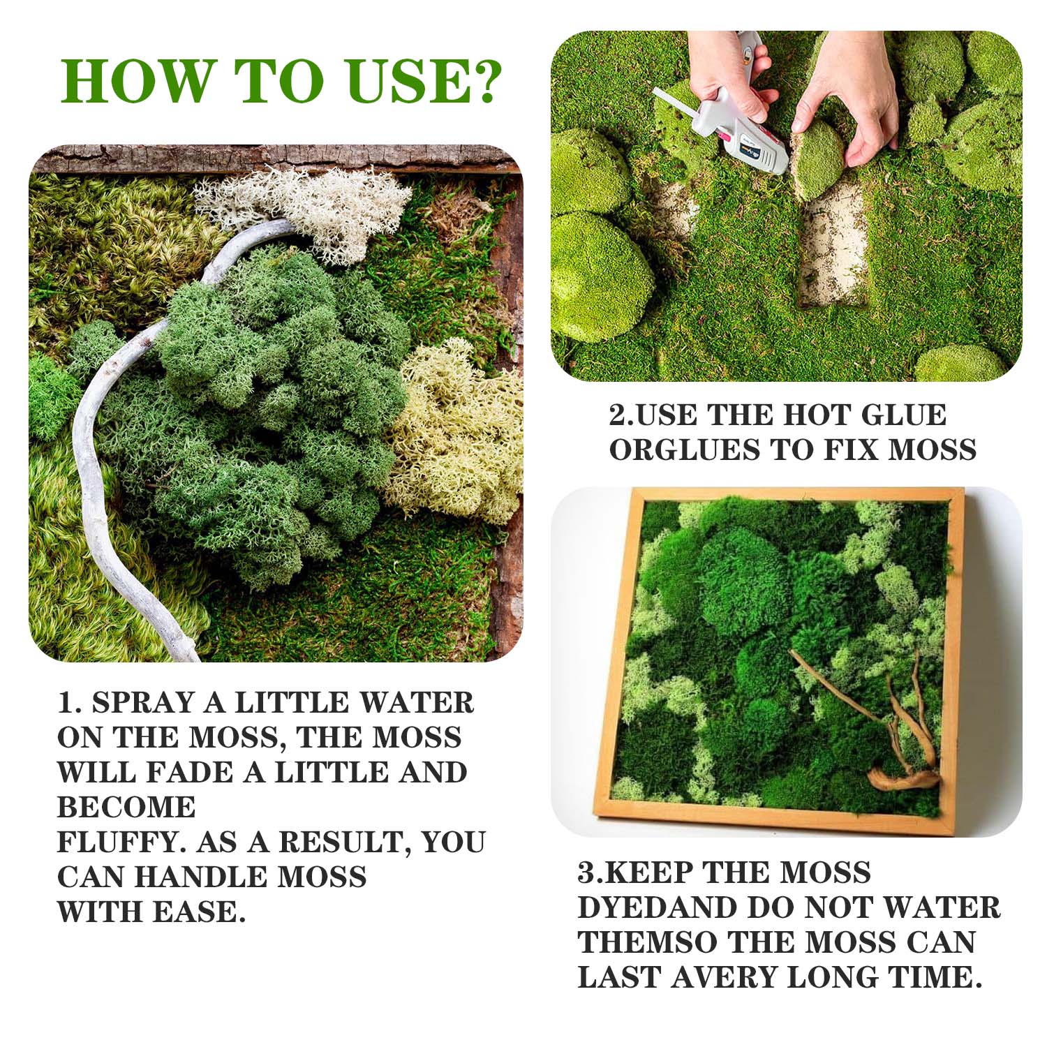 Artificial Green Plants Eterna - Sphagnum Moss Dry 评论和价格