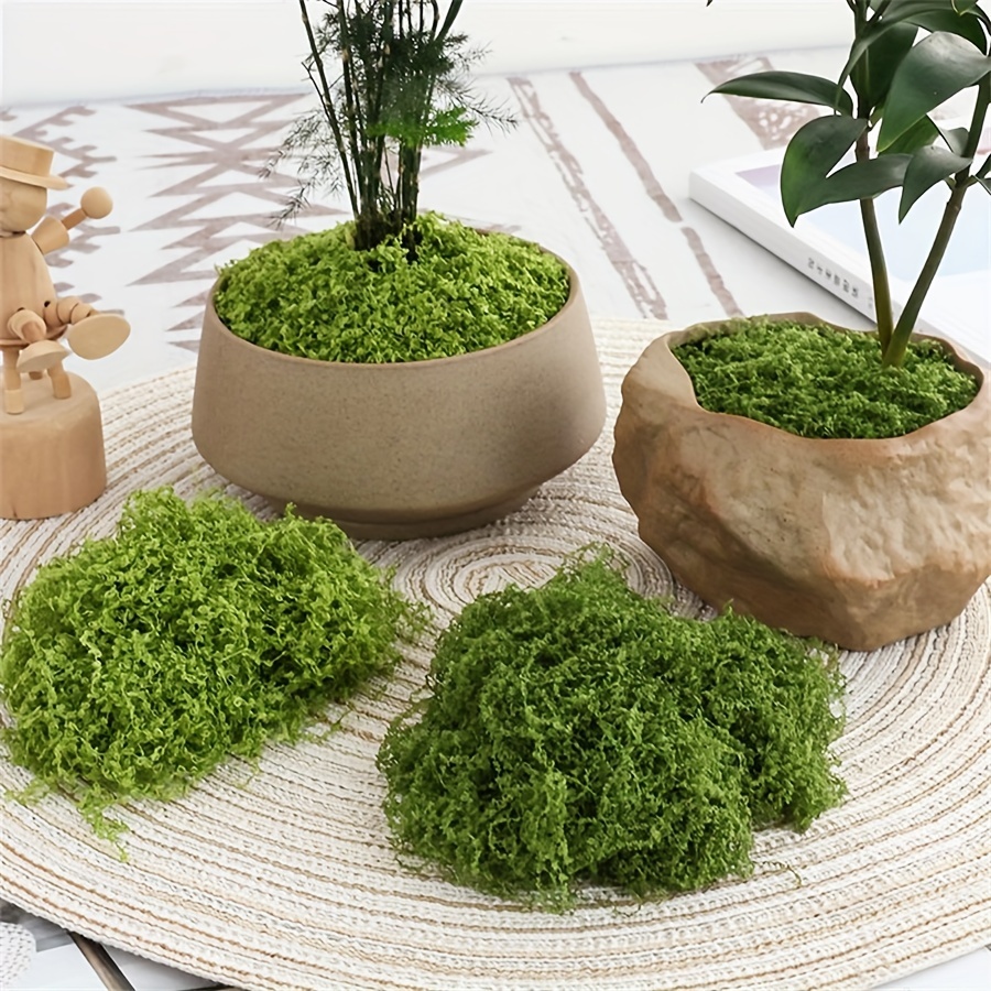 1pack Artificial Fake Moss, 1. - Sphagnum Moss Dry 评论和价格