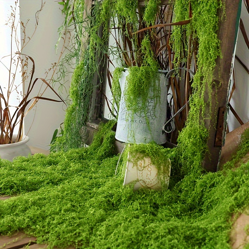 1pack Artificial Fake Moss, 1. - Sphagnum Moss Dry 评论和价格
