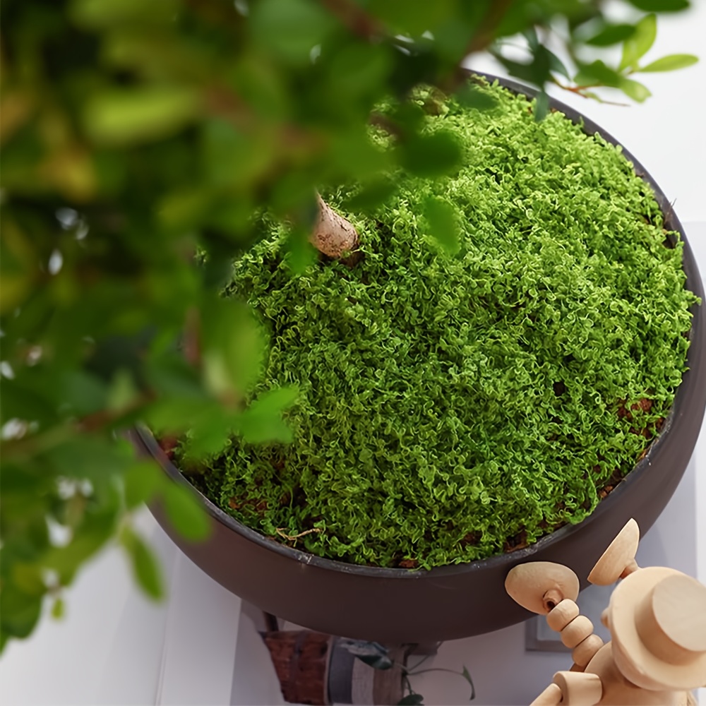 1pack Artificial Fake Moss, 1. - Sphagnum Moss Dry 评论和价格