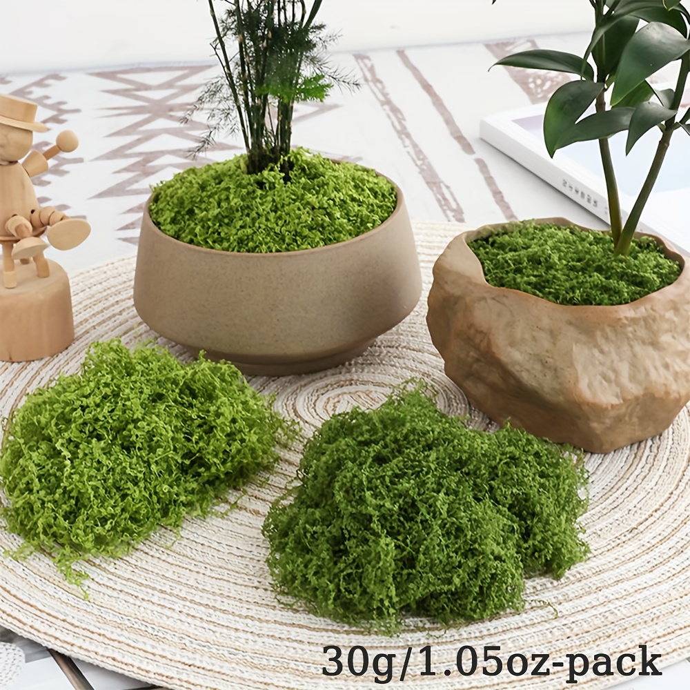 1pack Artificial Fake Moss, 1. - Sphagnum Moss Dry 评论和价格
