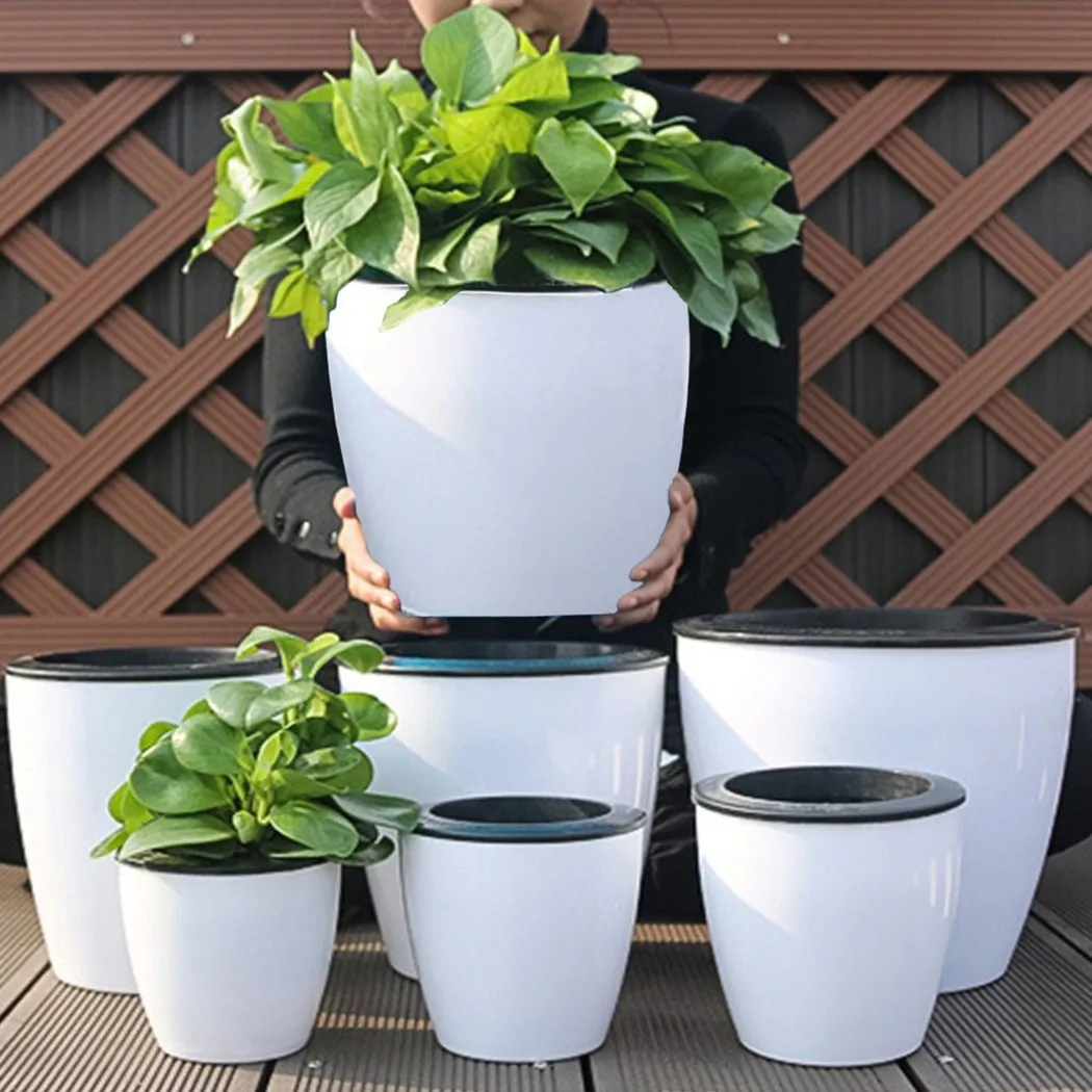 Lazy Flower Pot Self-Watering  - Self Watering Insert 评论和价格