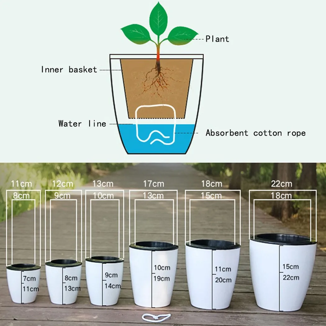 Lazy Flower Pot Self-Watering  - Self Watering Insert 评论和价格