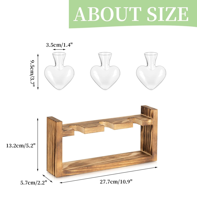 Glass Propagation Station for  - Propagation Station Vase 评论和价格