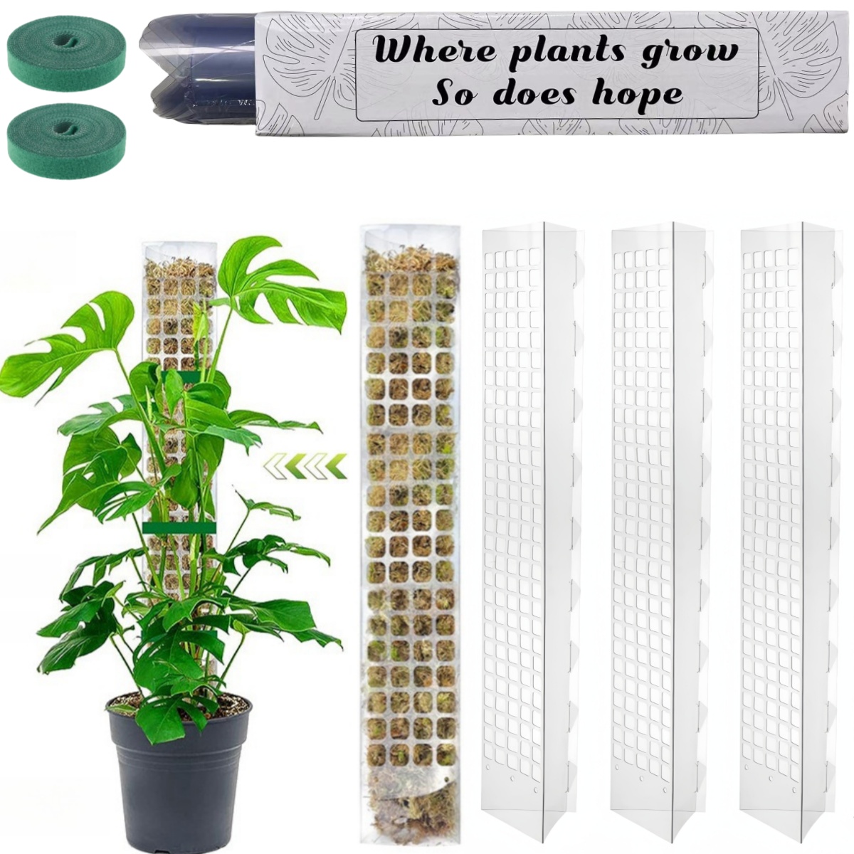 Moss Pole Plastic Plant Stand  - Sphagnum Moss Dry 评论和价格