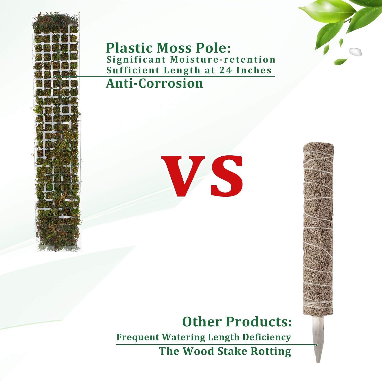Moss Pole Plastic Plant Stand  - Sphagnum Moss Dry 评论和价格