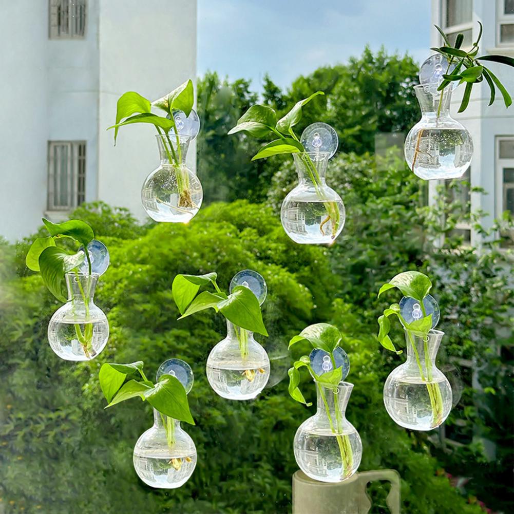 Window Planter Vase Window Pla - Propagation Station Vase 评论和价格