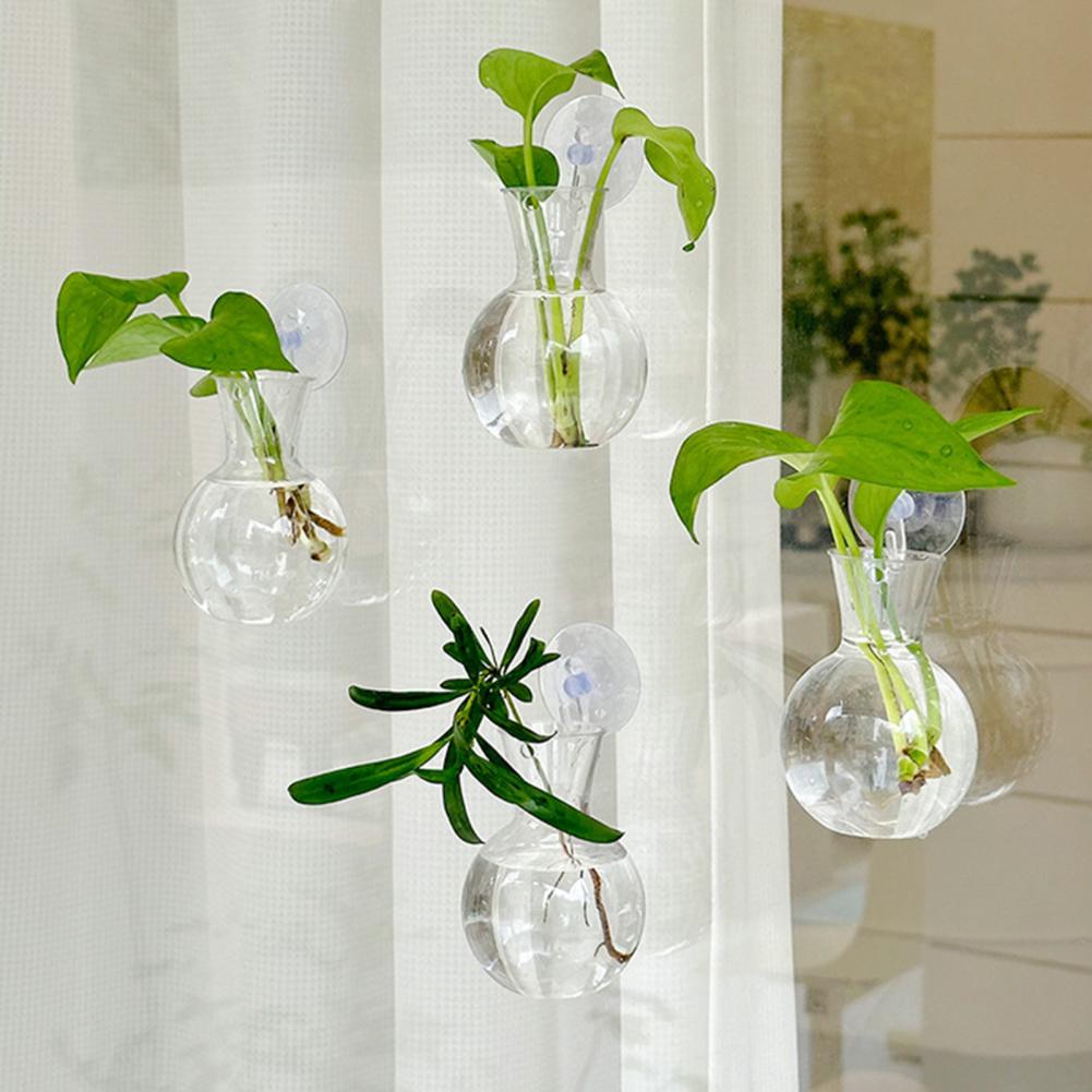 Window Planter Vase Window Pla - Propagation Station Vase 评论和价格