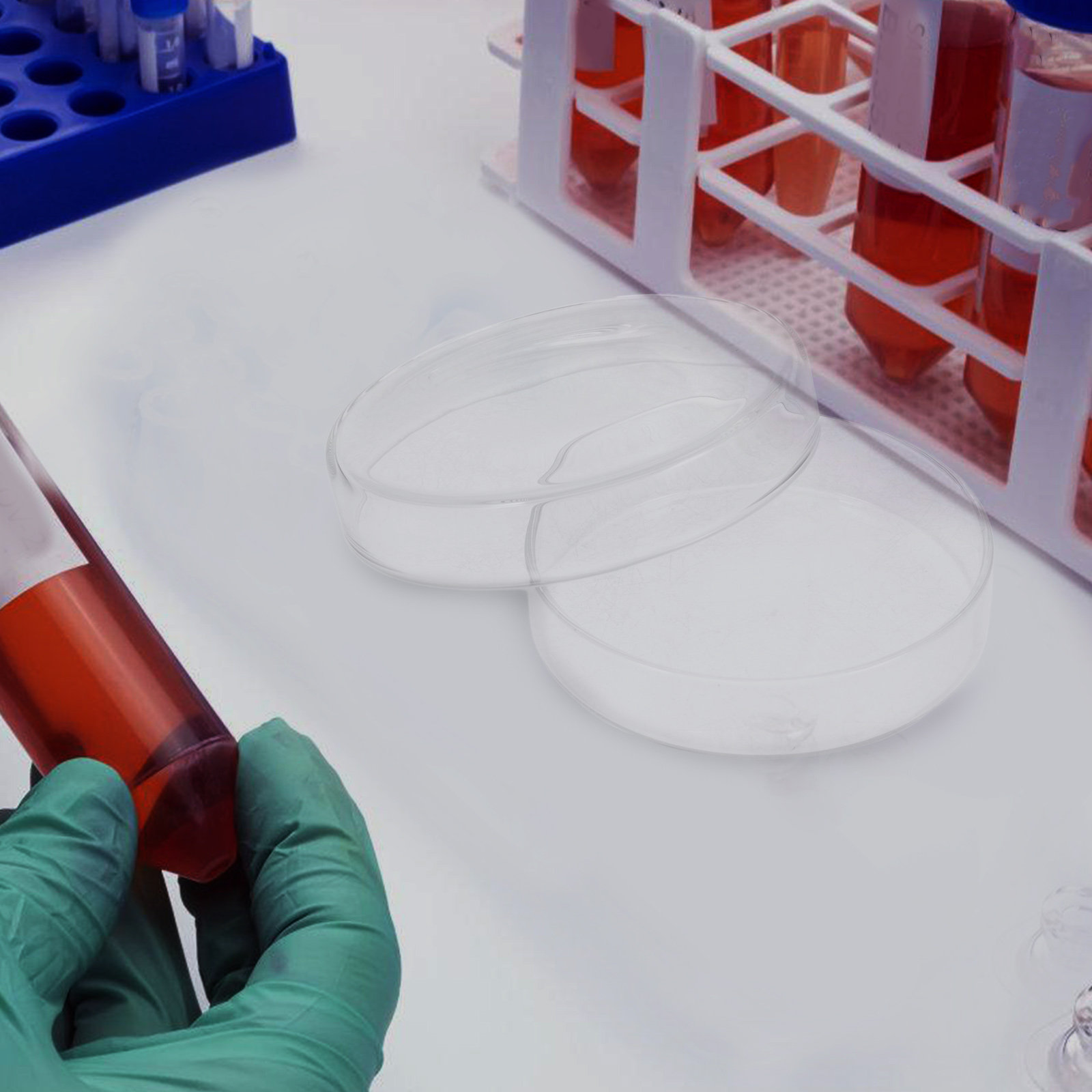 High Borosilicate Glass Petri  - Agar Tissue Culture 评论和价格
