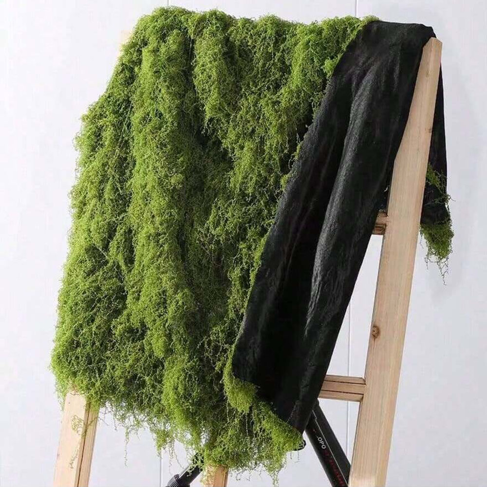 1*1m Fake Moss DIY Crafts Gras - Sphagnum Moss Dry 评论和价格