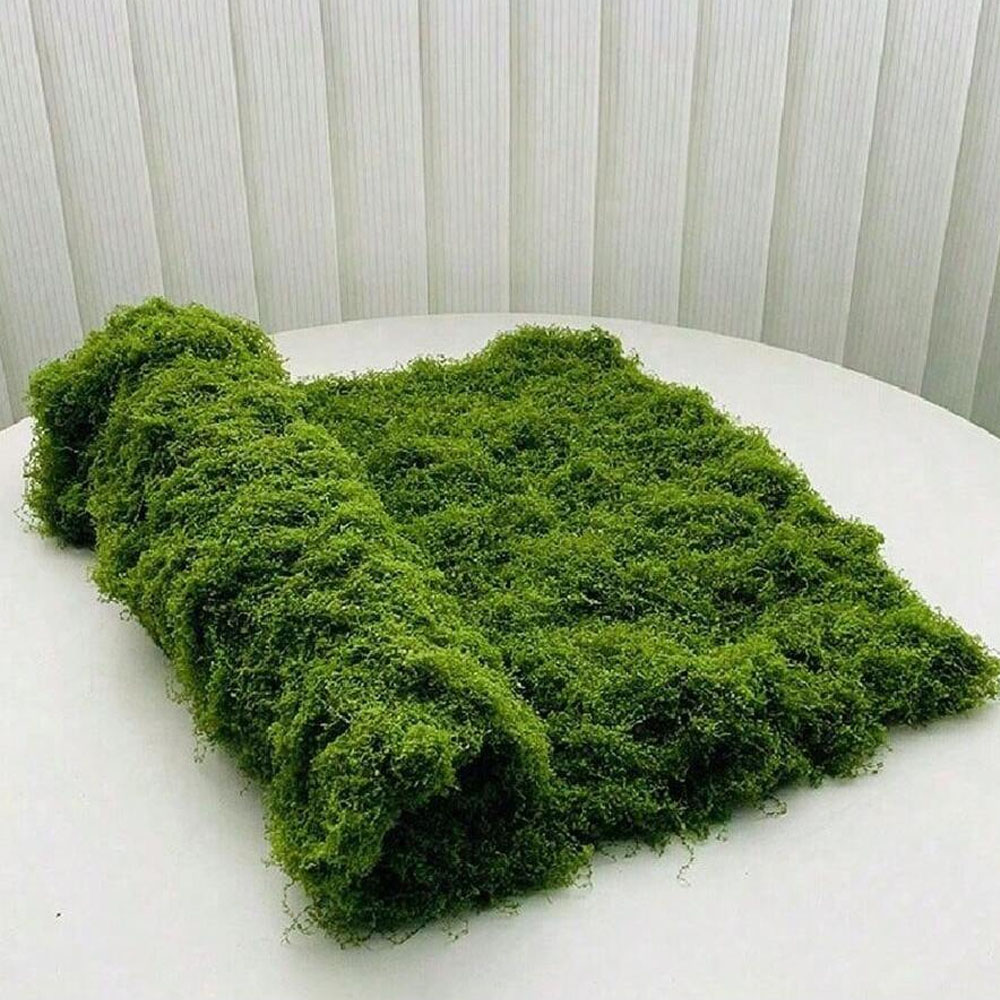 1*1m Fake Moss DIY Crafts Gras - Sphagnum Moss Dry 评论和价格