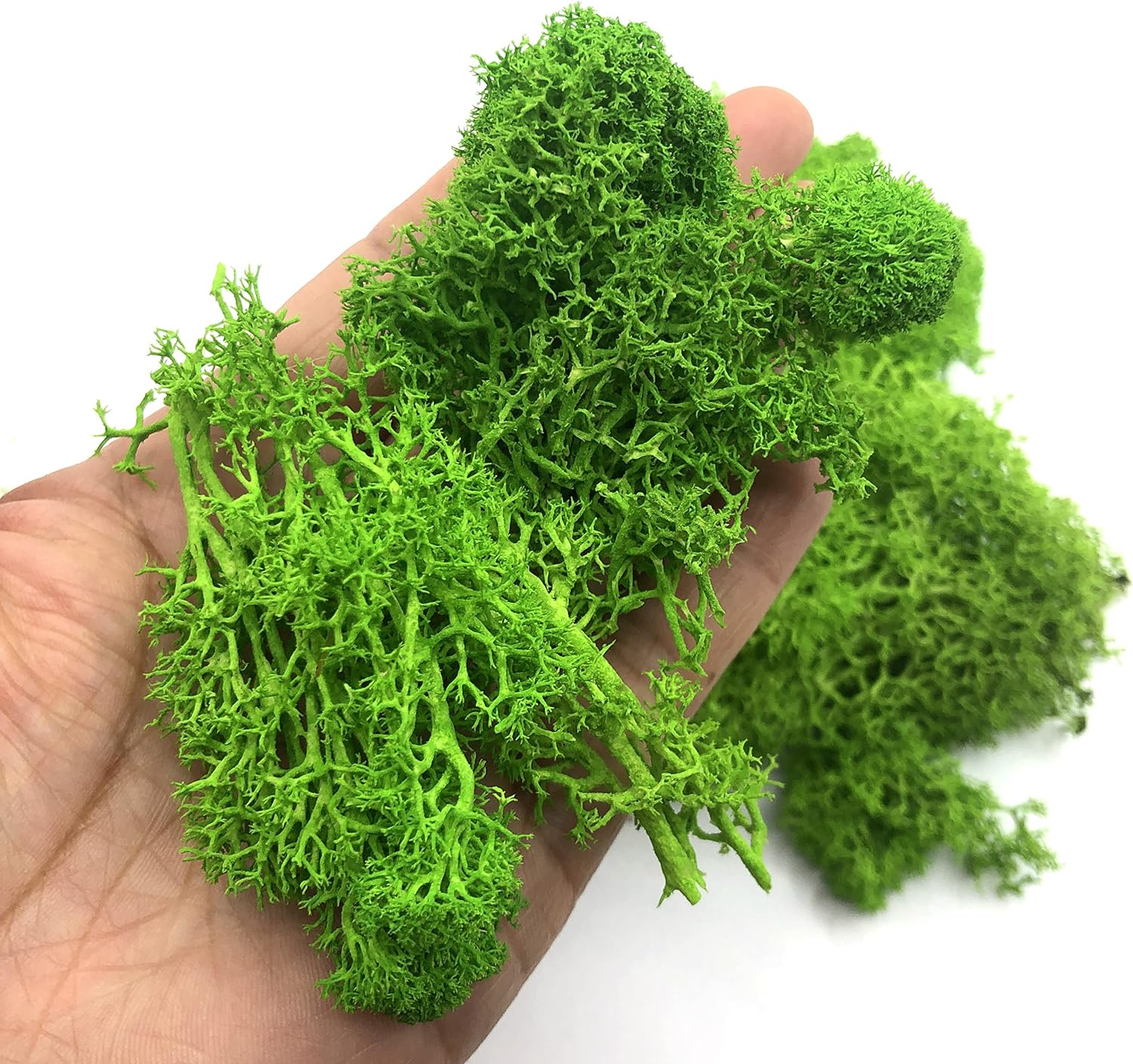 200g Artificial Green Plants M - Sphagnum Moss Dry 评论和价格