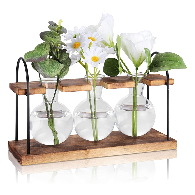 Plant Propagation Station with - Propagation Station Vase 评论和价格
