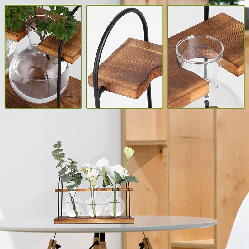 Plant Propagation Station with - Propagation Station Vase 评论和价格
