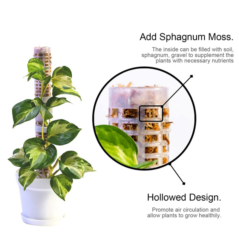Plant Climbing Column Sphagnum - Sphagnum Moss Dry 评论和价格