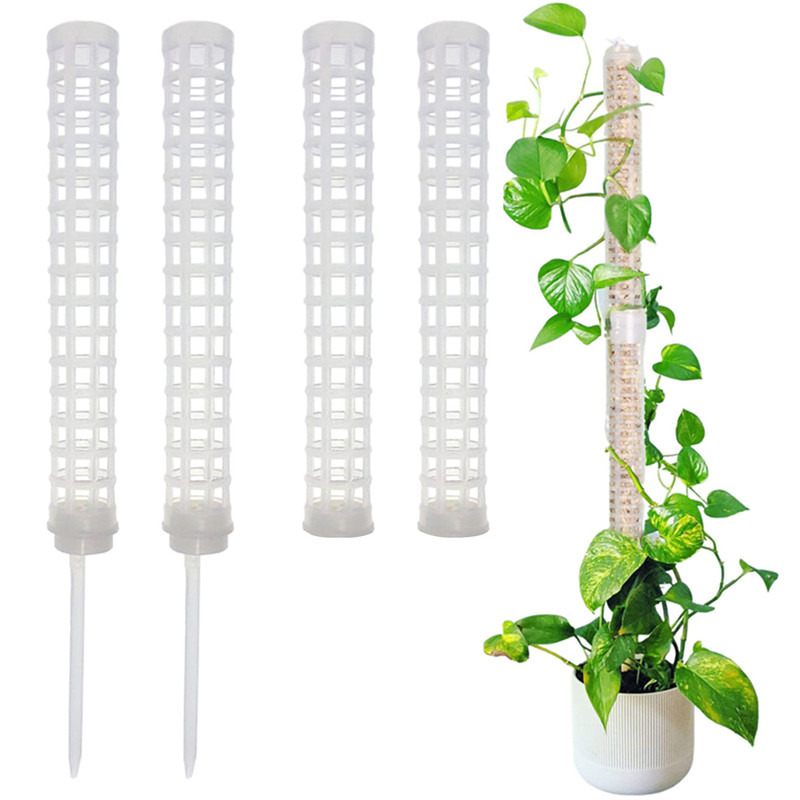 Plant Climbing Column Sphagnum - Sphagnum Moss Dry 评论和价格