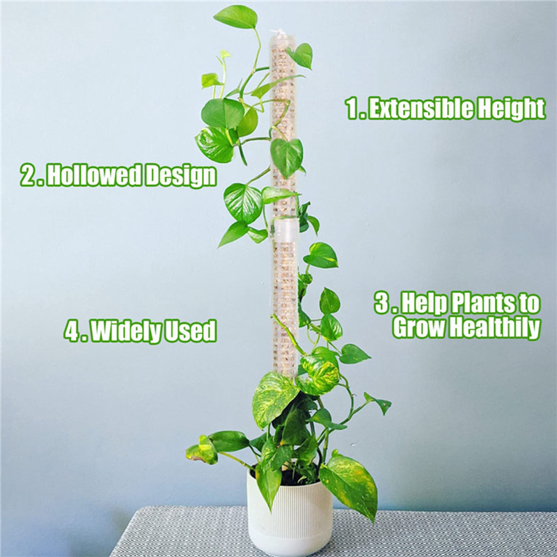 Plant Climbing Column Sphagnum - Sphagnum Moss Dry 评论和价格