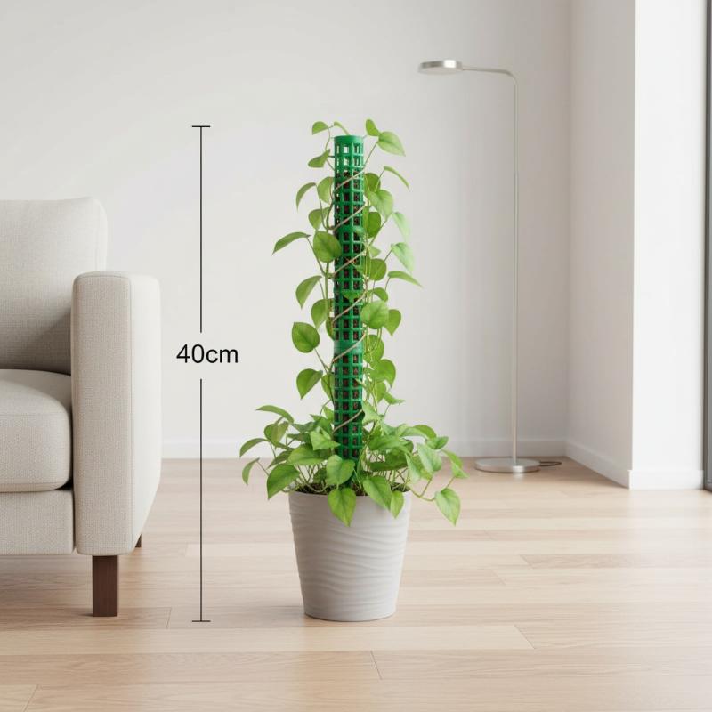Plant Climbing Frame Extendabl - Sphagnum Moss Dry 评论和价格