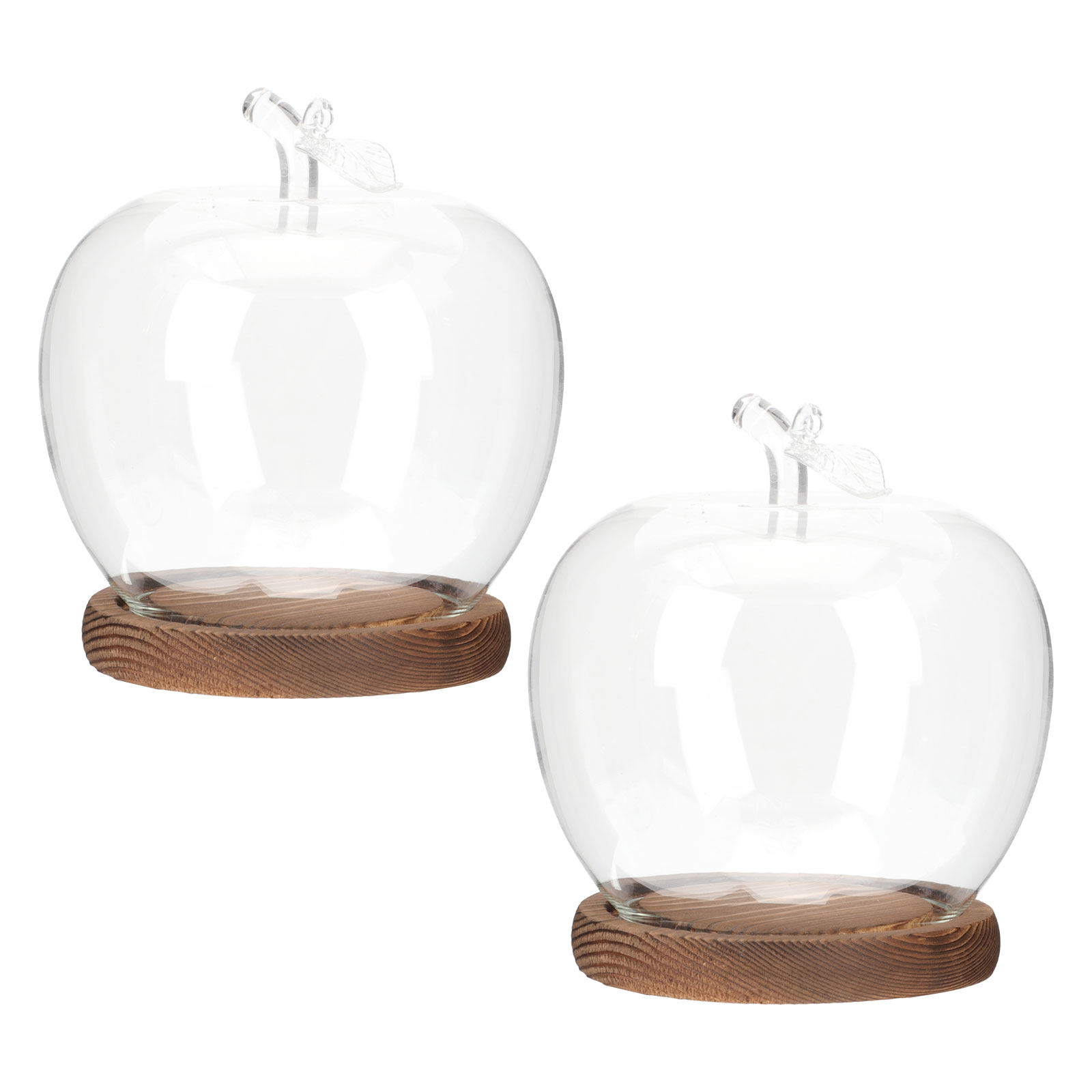 2Pcs Glass Cloche Dome with Wo - Plastic Dome Clear 评论和价格