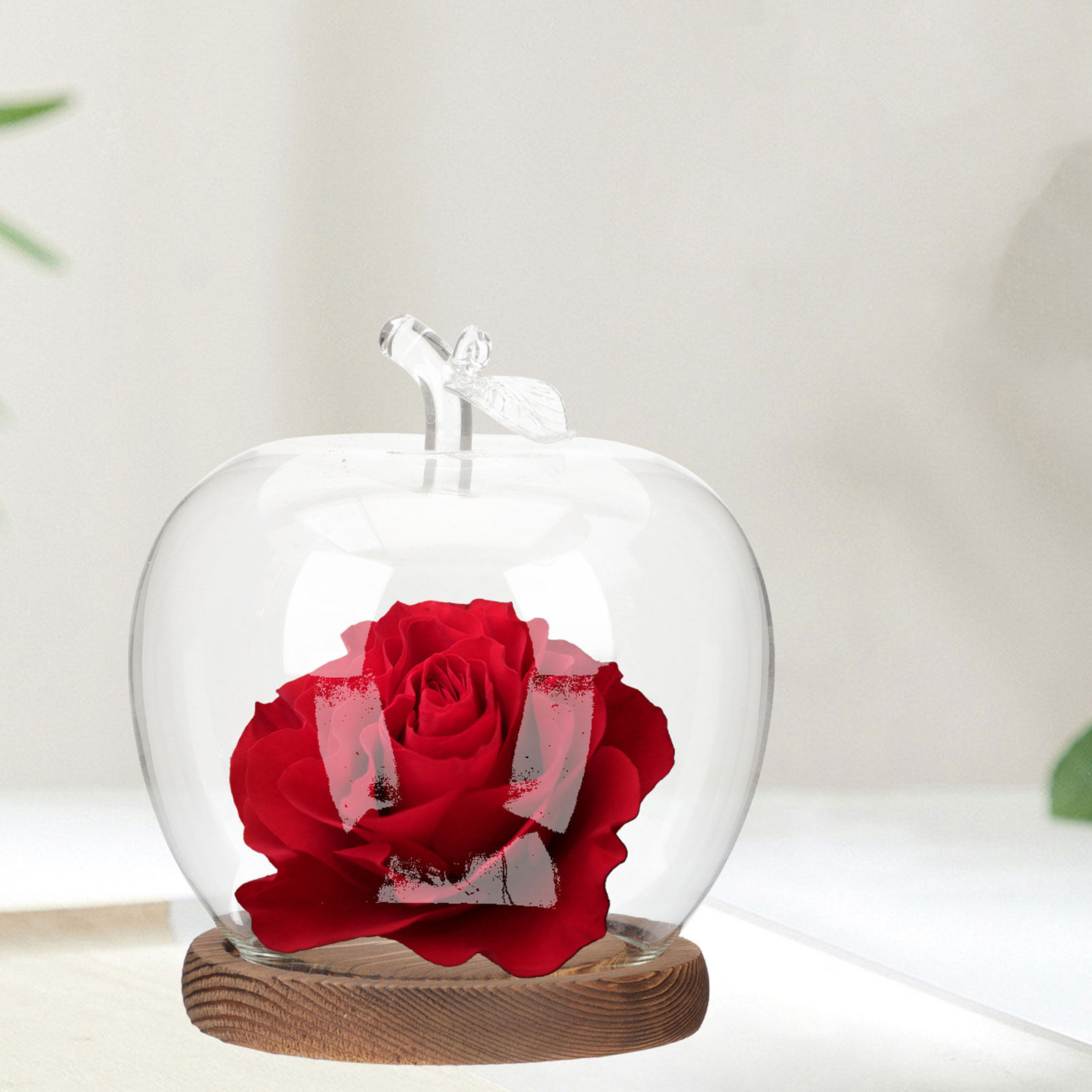 2Pcs Glass Cloche Dome with Wo - Plastic Dome Clear 评论和价格