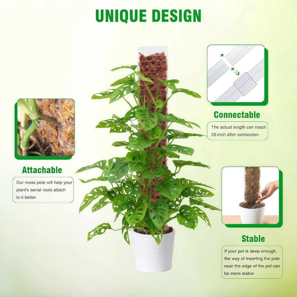 Moss Pole Plastic Plant Stand  - Sphagnum Moss Dry 评论和价格