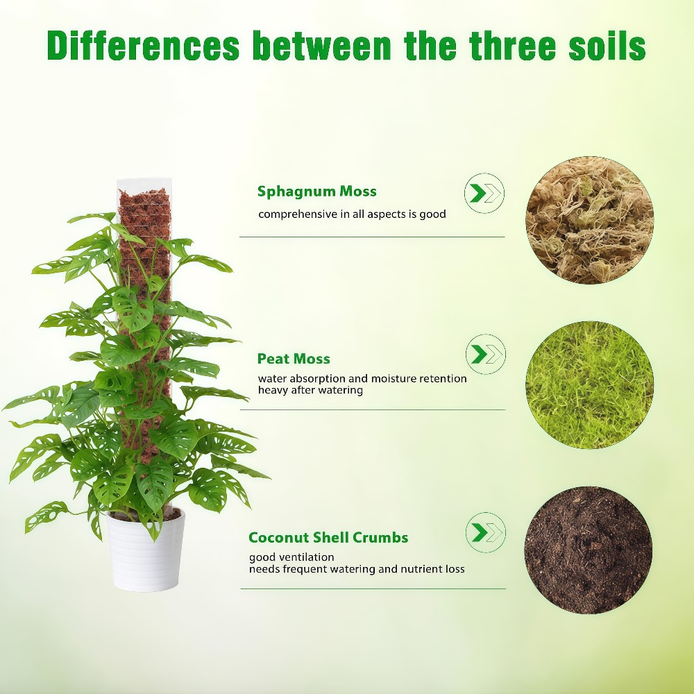 Moss Pole Plastic Plant Stand  - Sphagnum Moss Dry 评论和价格